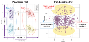 Cannabis Metabolomic Data Processing: Challenges to be Addressed