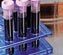 A Decade of Quantitating Cyanide in Aqueous and Blood Matrices