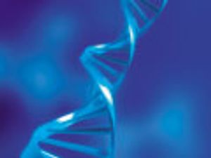 The Power of Liquid Chromatography–Mass Spectrometry in the Characterization of Protein Biopharmaceuticals