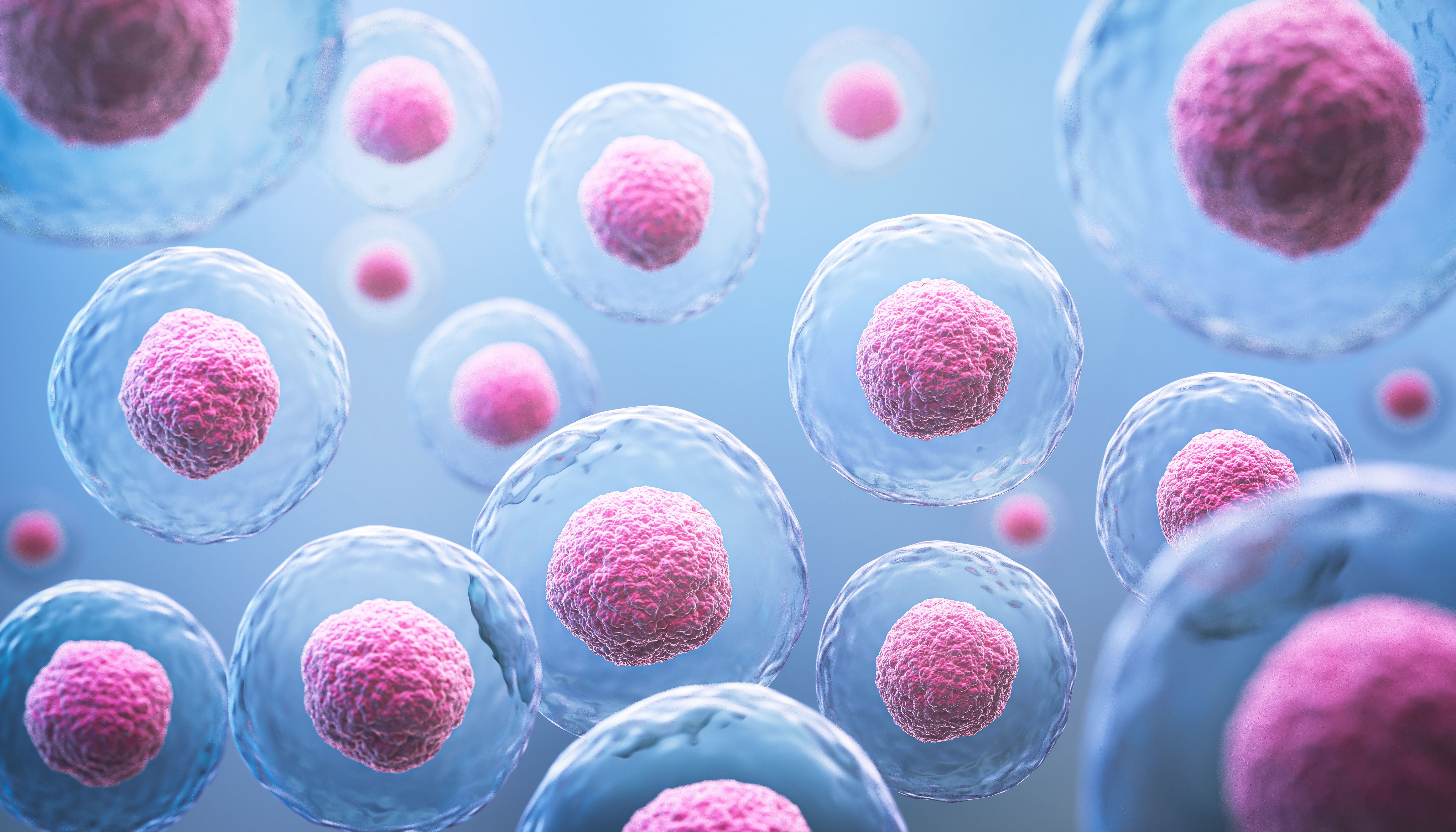 3d rendering of Human cell or Embryonic stem cell microscope background. | Image Credit: © Anusorn - stock.adobe.com