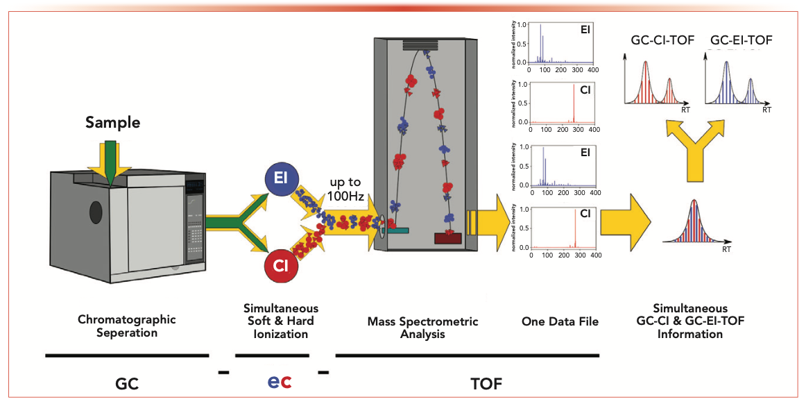 OUPLC-Q-TOF/MS chromatograms and annotation of the molecular