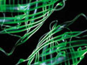 The Potential of Polymeric Monolithic Capillary Columns for the LC–MS Analysis of Intact Proteins