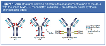 figure 11528820713322.png