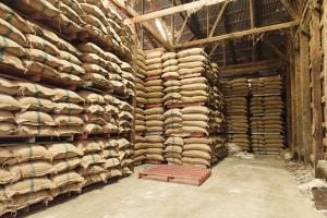 LC–MS/MS Tracks Mycotoxins in Stored Nigerian Rice