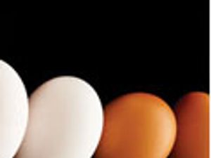 Control of Antibiotics by Micellar Liquid Chromatography in Food Samples