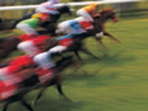 Racing Against Time: High-Throughput Analysis of Dermorphin in Equine Urine