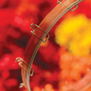 Go With the Flow: Thinking About Carrier Gas Flow in GC