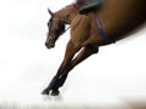 Maximizing Throughput with Optimized Column Lengths and Particle Diameters