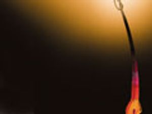 Determination of Clenbuterol-Like Beta-Agonist Residues in Hair