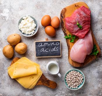 Products rich in amino acids. | Image Credit: © Yulia Furman - stock.adobe.com