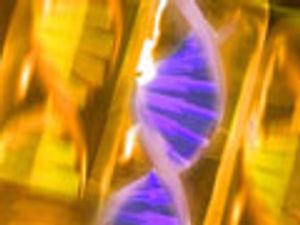 The Role of Elution Gradient Shape in the Separation of Protein Therapeutics