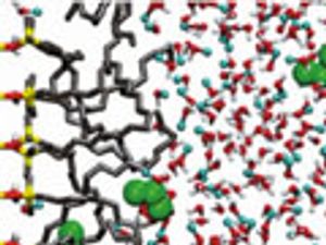 How Reversed-Phase Liquid Chromatography Works