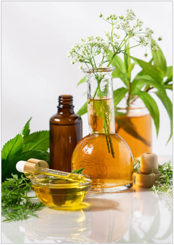 Food, Flavors, Fragrances, and Related Compounds: GC-MS Library | Image Credit: © Wiley Scientific Solutions - sciencesolutions.wiley.com