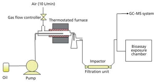 Oil Gc Data Gas Chromatography–Mass Spectrometry Characterization of Vegetable Oil ...
