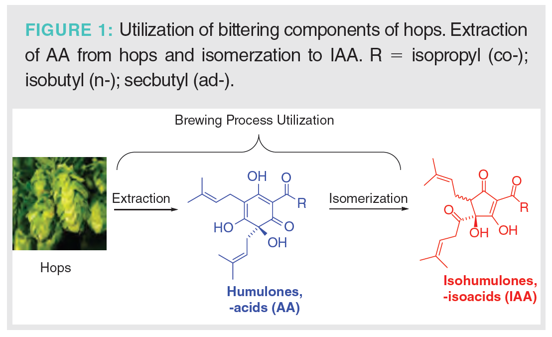 Liquid Chromatography–Mass Spectrometry Analysis of Hop-Derived ...