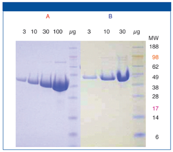 figure 11502377906766.png