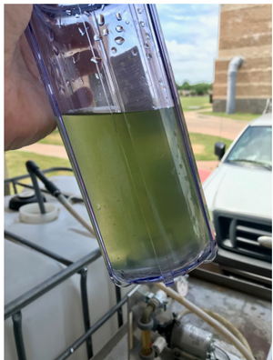 A Turnkey Protocol for Detecting Taste and Odor Compounds in Drinking and Surface Waters by Gas Chromatography–Mass Spectrometry and Electron Capture Detector (GC–MS/ECD)