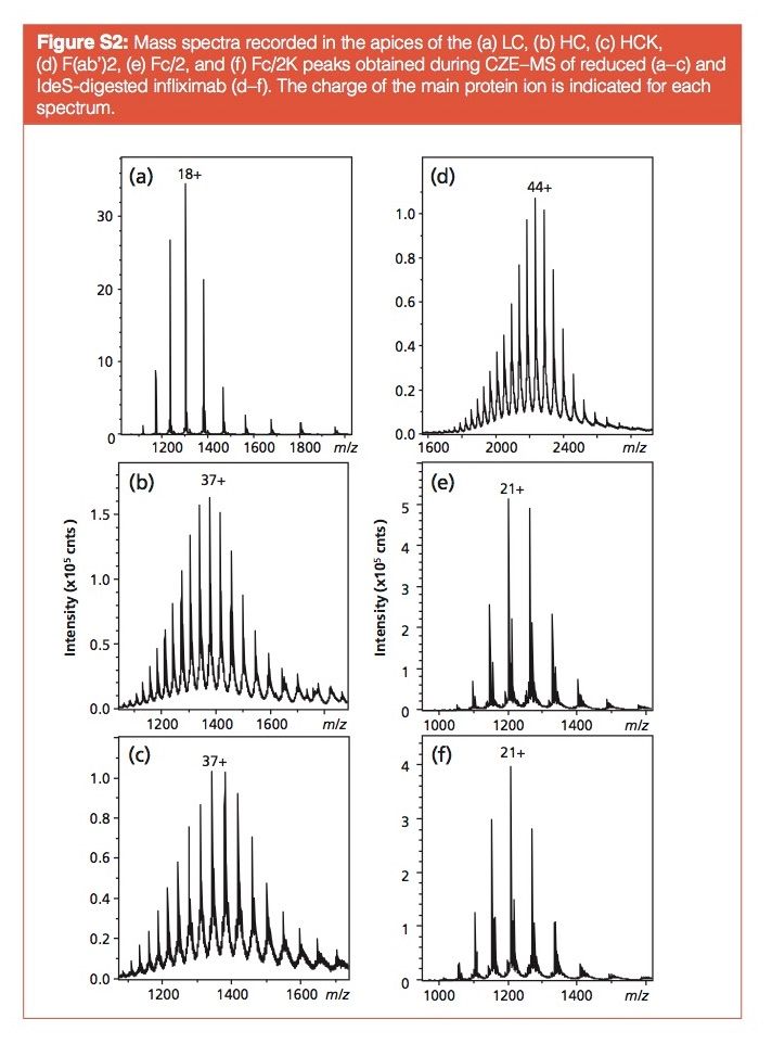 Supplementary Information: Middle-Up Characterization of the Monoclonal ...