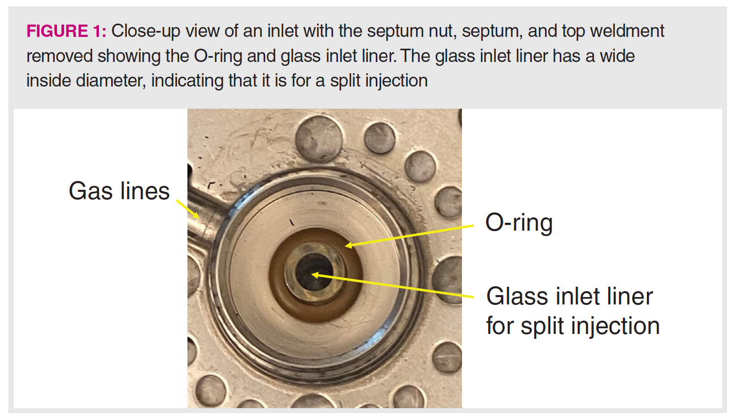 Split/Splitless Inlets in GC: What’s Up with All Those Different Glass ...