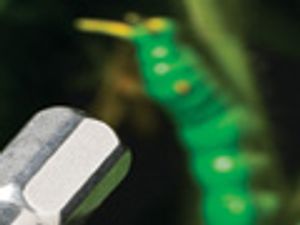 A Novel Sample Preparation Approach to Increase the Throughput of Pesticide Analysis by LC–MS-MS