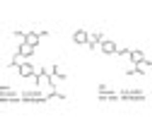 Simultaneous Determination of Methotrexate and Sulfasalazine in Plasma by HPLC–DAD