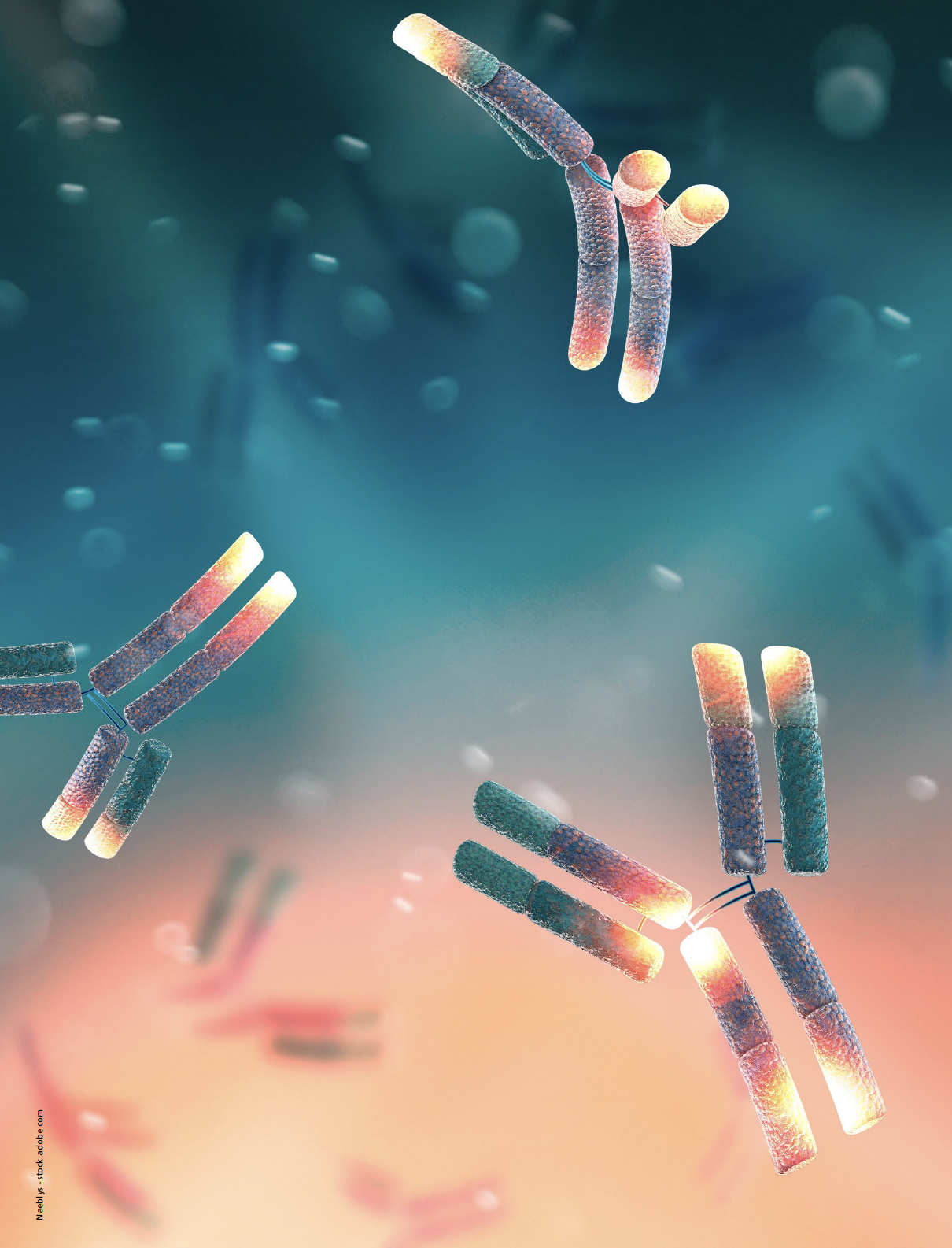 Native Anion Exchange Chromatography Coupled to Mass Spectrometry for ...