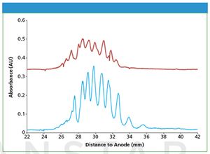 figure 11479827374004.jpg