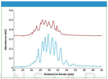 figure 11479827374004.jpg