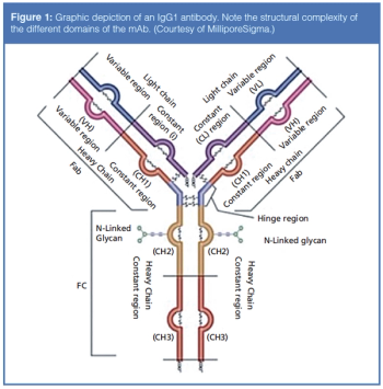 figure 1 L1508253096092.png