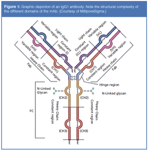 figure 1 L1508253096092.png