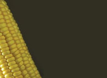 sweetcorn-750456-1408612697121.jpg
