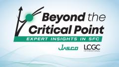 Beyond the Critical Point: Expert Insights in SFC