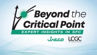 Beyond the Critical Point: Expert Insights in SFC