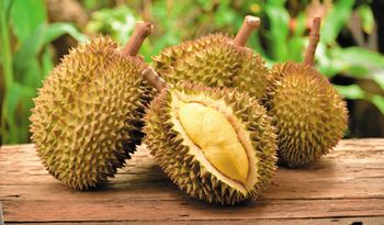 durian.jpg