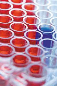 Sample Amount Normalization in Metabolomics | LCGC International