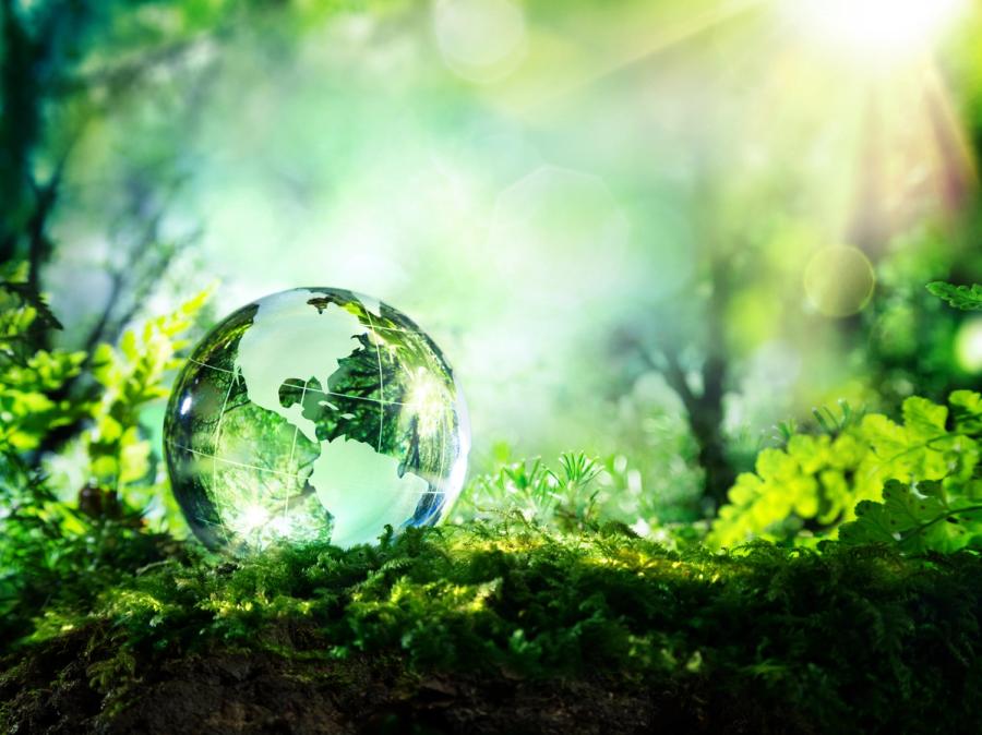 crystal globe on moss in a forest - environment concept | Image Credit: Romolo Tavani - stock.adobe.com