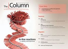 The Column-11-05-2010