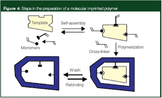 Advanced Topics in Solid-Phase Extraction: Chemistries | LCGC International