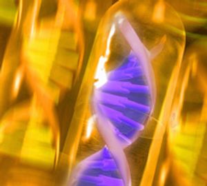 Glycosylation in mAb Therapeutic Products: Analytical Characterization and Impact of Process