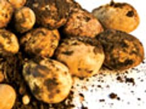 A Novel Sample Preperation Approach to Increase the Throughput of Pesticide Analysis by LC–MS–MS