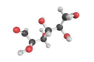 Ion Chromatography Using Anion Exchangers Modified with Anionic Polysaccharides