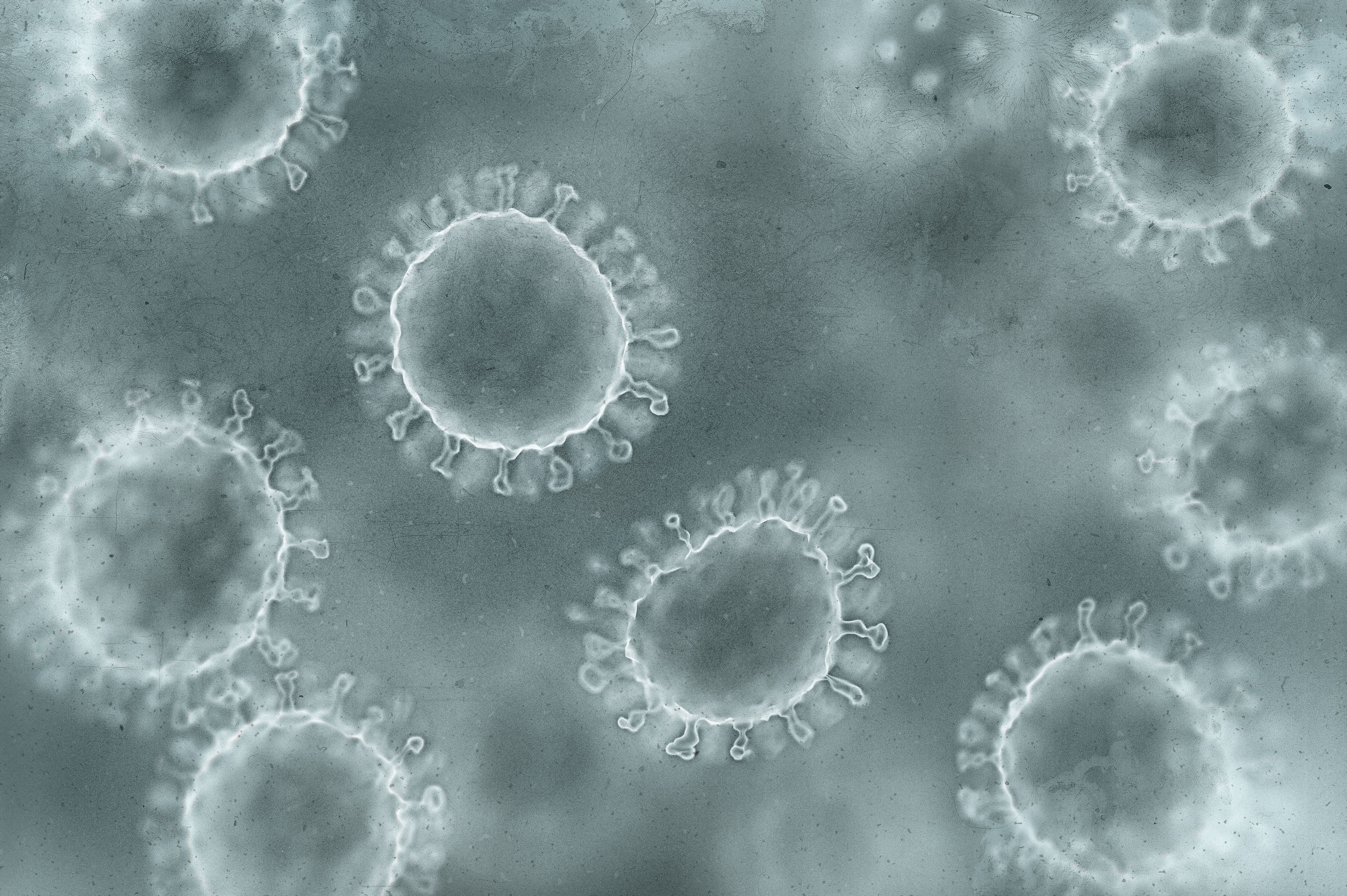 Viral structure. Viral particle is made up of a nucleus of nucleic acid (DNA or RNA) surrounded by a protein coat. Conceptual illustrative virus. | Image Credit: © ktsdesign - stock.adobe.com