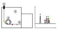 Gas Chromatography Animation