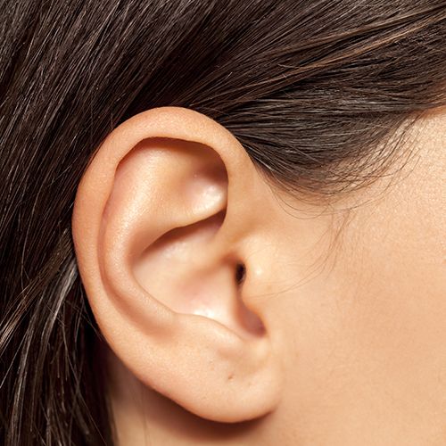 Ear.jpg