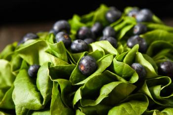 Fresh lettuce with blueberry, lemon and strawberries on a wooden | Image Credit: © naltik - stock.adobe.com