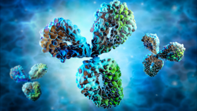 The Hidden Cost of Carryover in Protein A Chromatography