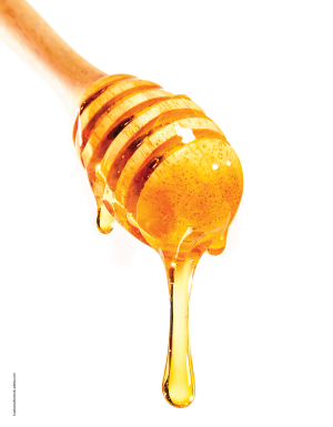 Image Credit: © kudosstudio - stock.adobe.com