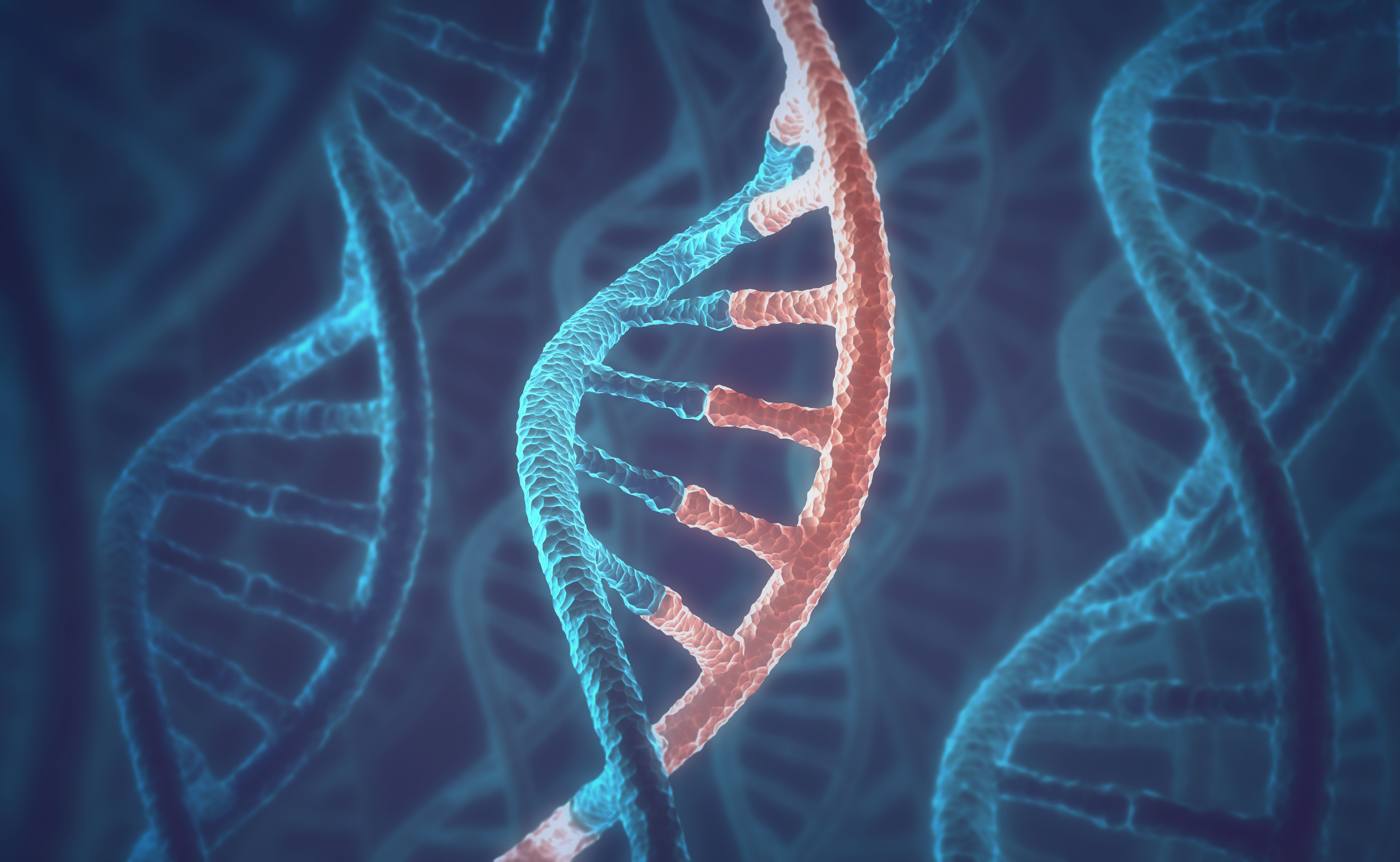 3D image concept of DNA and RNA molecules