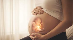 LC-HRMS Reveals Lipid Clues to Fetal Overgrowth
