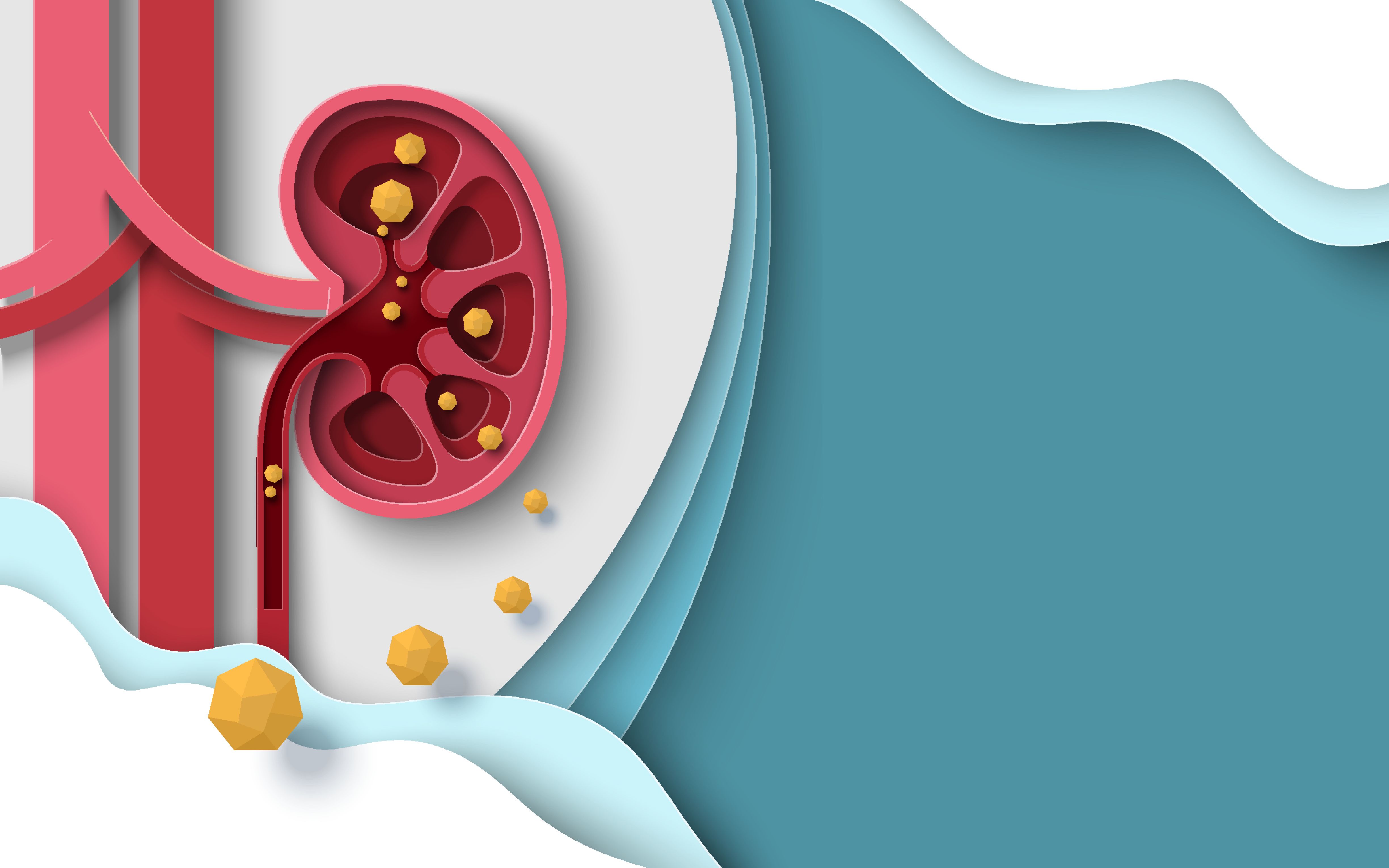 Kidney stone human renal disease vector background | Image Credit: © Siberian Art - stock.adobe.com